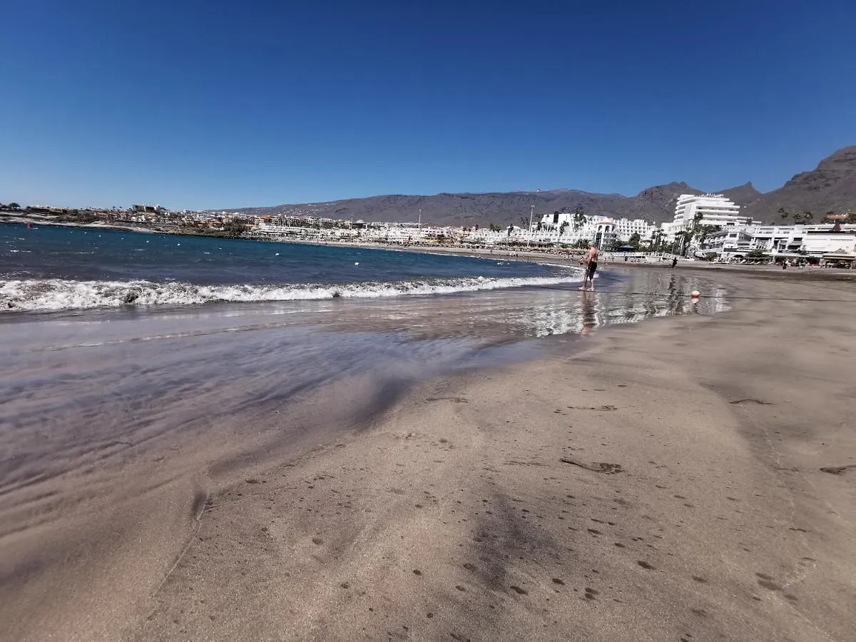 Home2Book Sunny Apartment Los Cardones, Pool Playa de las Americas  0*, Playa de las Americas (Tenerife)